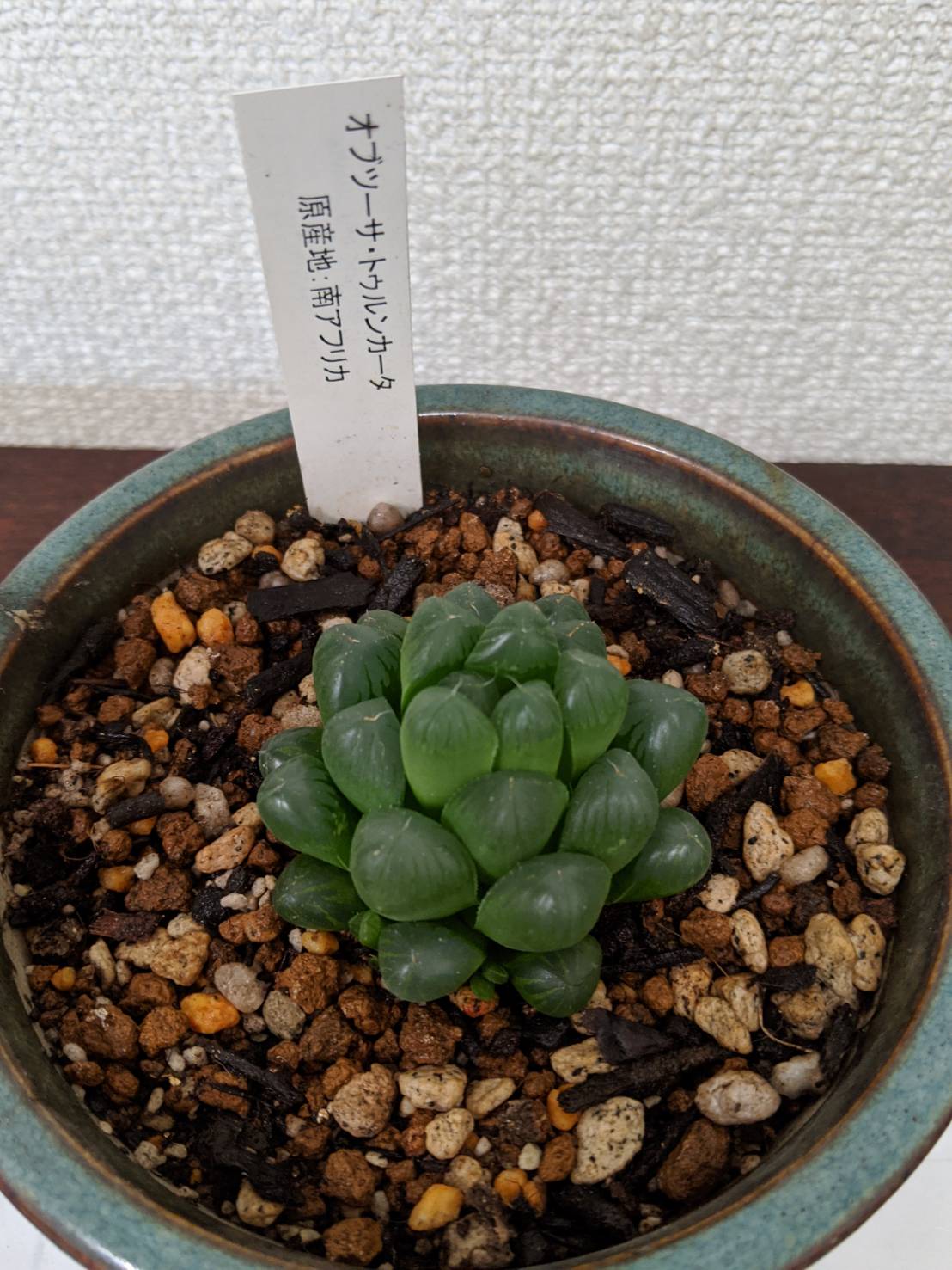 秋田市就労支援b型 Com